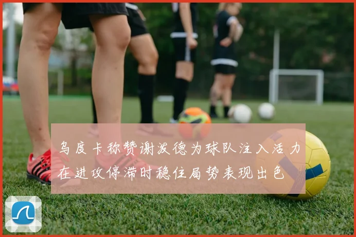乌度卡称赞谢泼德为球队注入活力在进攻停滞时稳住局势表现出色